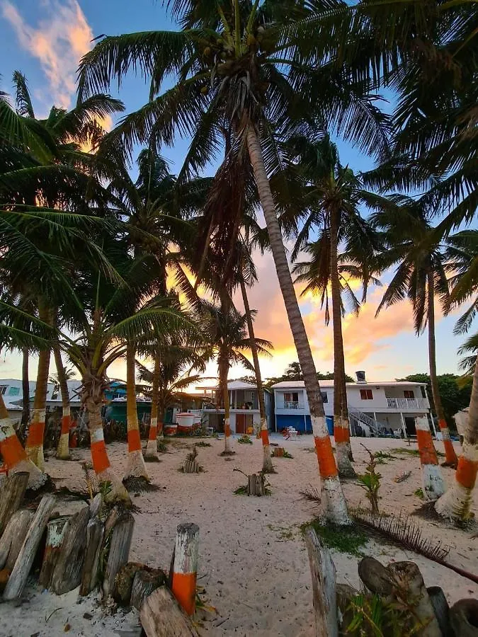 Sunny Beach Apartments San Andres  Colombia