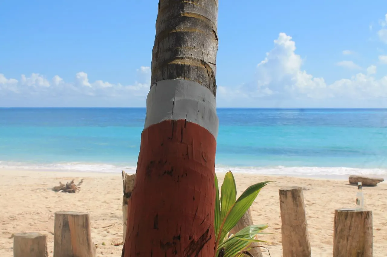Sunny Beach Apartments San Andres