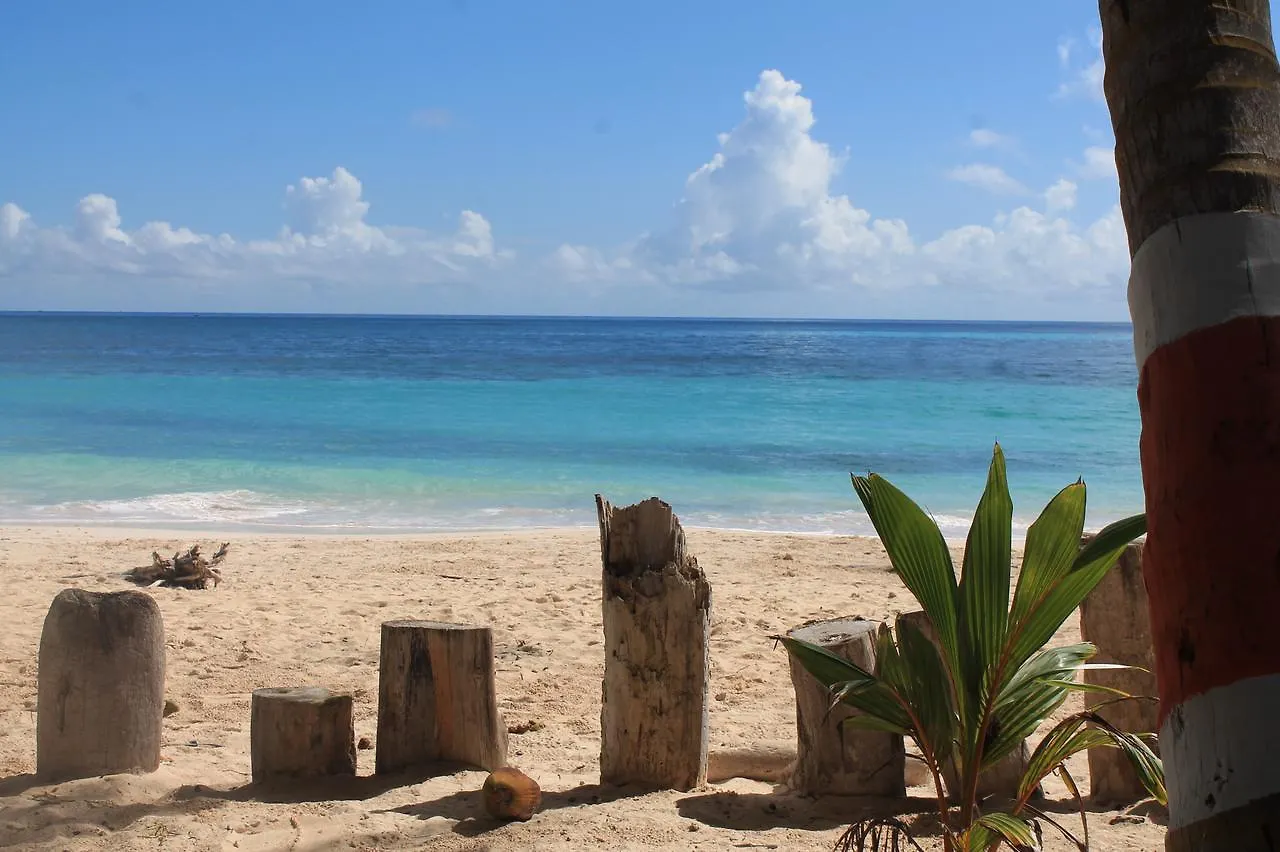 Sunny Beach Apartments San Andres  Colombia
